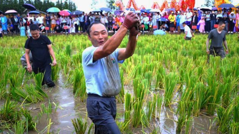 龙陵：农耕游点燃国庆乡村热麻将胡了2试玩模拟器保山(图4)