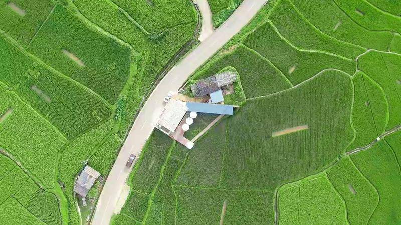 龙陵：农耕游点燃国庆乡村热麻将胡了2试玩模拟器保山(图8)