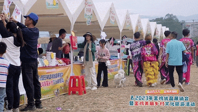 演、趣味市集……跨年迎新游江门！最全攻略→PG电子游戏麻将胡了明星演唱会、倒数烟花汇(图7)