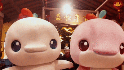 演、趣味市集……跨年迎新游江门！最全攻略→PG电子游戏麻将胡了明星演唱会、倒数烟花汇(图13)